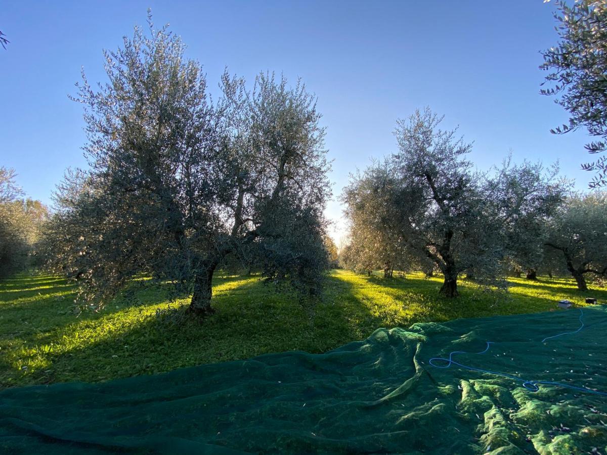All'Antica Scuderia Del Castello Maiano  Экстерьер фото